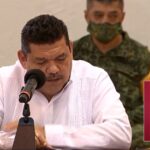 Cayeron 33% los ingresos para la CNH en este 2020