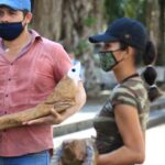 Aumenta precio de juguetes en época navideña