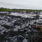 Delitos de alto impacto están a la baja en Tabasco, confirma Gobierno Federal