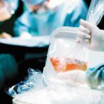 Nuevo FRAUDE llega a través de WhatsApp, éste es el mensaje que no debes abrir