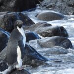 Reproducción asistida, un derecho restringido; sin marco normativo: GIRE