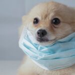 Mueren 2 personas en enfrentamiento de sujetos armados en hotel de Riviera Maya