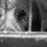 Luisa Gutiérrez Ureña propone que el Metro realice un programa de recolección de pilas para su reciclaje