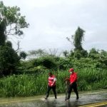 AMLO: Sacerdotes jesuitas “saben todo”, pueden ayudar a esclarecer asesinato