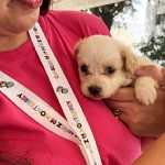 Delfina Gómez amarra de nuevo candidatura