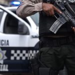 Usan tecnología para proteger a la vaquita marina