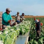 Gobierno de México expropia más de 50 terrenos privados para la construcción del Tren Maya