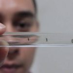 Tramo Zinacantepec-Lerma del Tren Interurbano México-Toluca operará en septiembre, confirma SICT