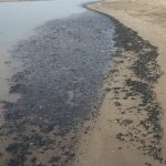 Legisladores republicanos amenazan a Biden con un juicio político