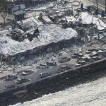 Nombran nueva especie de serpiente hallada en Perú en honor a Harrison Ford