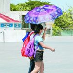 Piden agencias de viaje participación en ruta del Tren Maya