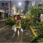 Disfrutan ciudadanos del paseo familiar “Movilizando Centro”