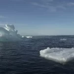 Es momento de trabajar en equipo con Mario Riestra.