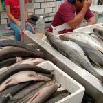 Dallas Cowboys sigue como la franquicia más valiosa del mundo