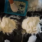 El Partido Revolucionario Institucional (PRI) ha reafirmado su compromiso