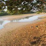 Xóchitl firmará acuerdo de paz con obispos 11 de marzo; “AMLO se va con la cola entre las patas”, dice