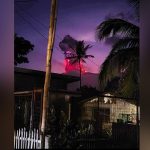 Angelique Boyer y Sebastián Rulli: la magia del amor