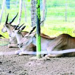 Podría México entrar en recesión en 2025