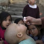 Mueren 258 especies en el Yumká