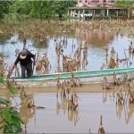 Buscan acuerdo para bajar precio de tortilla