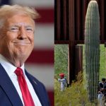 Entra Sedena a la obra estatal