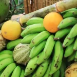 Dua Lipa y su novio Callum Turner se comprometen