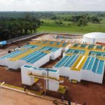 Paris Jackson se compromete con su novio Justin Long