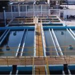 El papa Francisco tacha de “vergüenza” los planes de deportación masiva de Trump