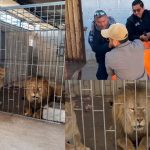 Arranca programa de desayunos escolares en Tabasco; beneficiará a 130 mil niños