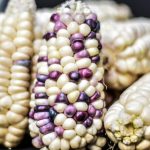 Acecha el ‘grooming’ a menores