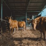 Hoy, todos a clases en ITSR; acabó el paro