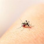 La cumbre de océanos de la ONU abre en Francia