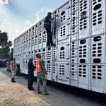 Lamine Yamal lidera la goleada del Barça ante el FC Seoul (7-3)