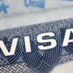 Un millón de cabezas de ganado ilegal han ingresado a Tabasco