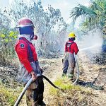 José Mourinho deja Fenerbahce tras no clasificar a la Champions League
