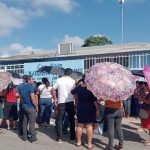 Pesticidas en EU y Canadá arriesgan a la Monarca