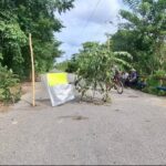 Hong Kong hará una investigación independiente sobre incendio mortal ante la presión pública