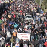 El arte de reinventar el postre: el secreto de un maestro pastelero