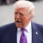 México y Alemania estrechan lazos: inversión germana en el país se fortalece con encuentro clave